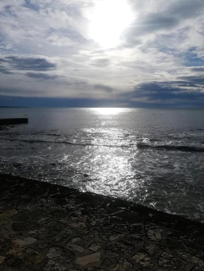 Apartment Jana Novigrad Istria المظهر الخارجي الصورة